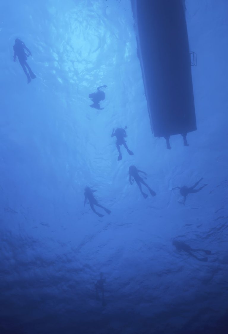 Connected Seas: How a Data-Driven Ecosystem Will Shape the Future of Diving