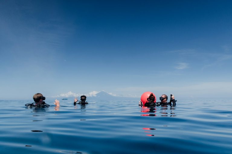 Practice Diving Physics with our new Learning Tool