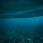 Explore the serene depth of the Spanish ocean with sunlit waters and seabed.