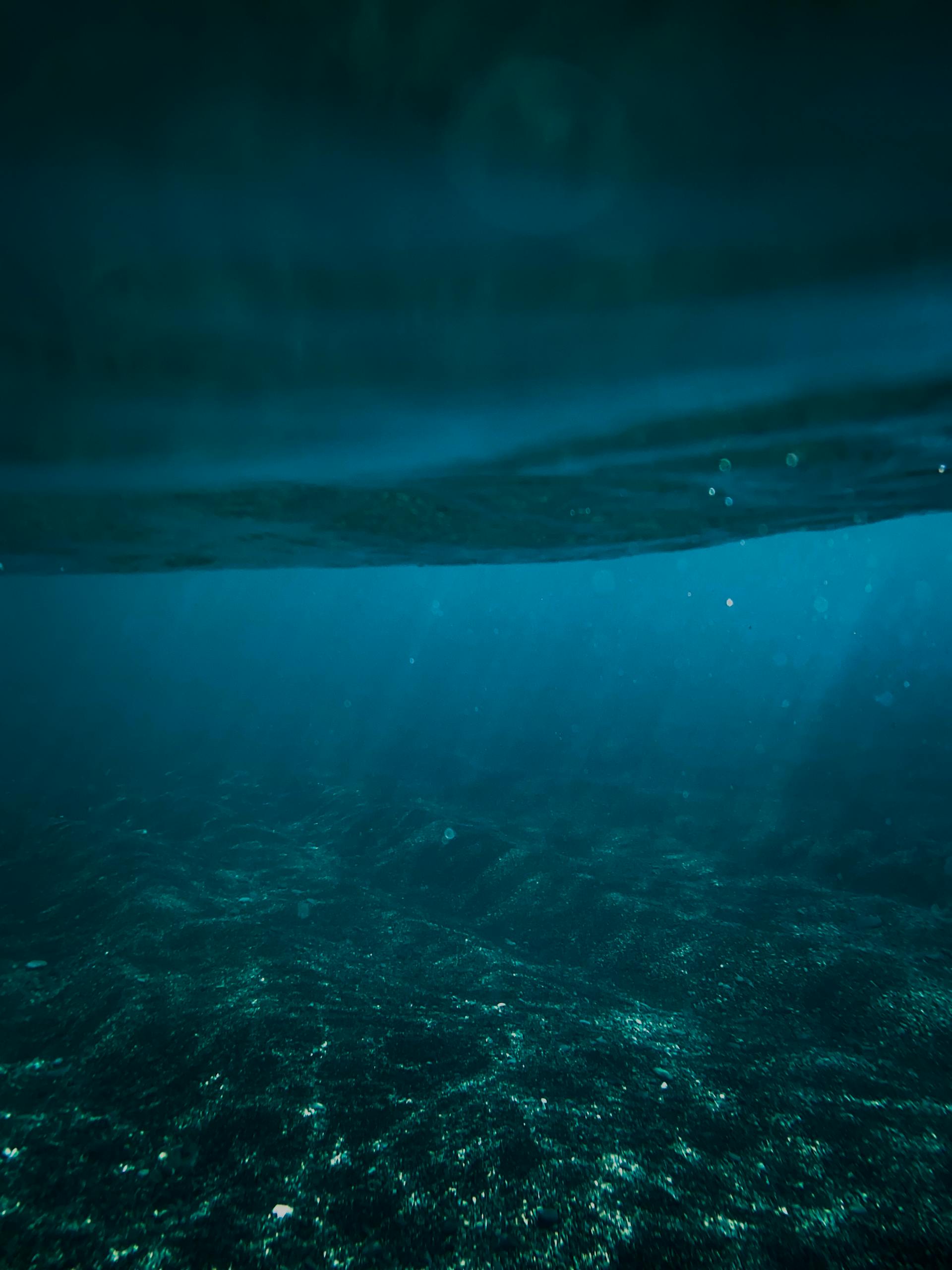 Explore the serene depth of the Spanish ocean with sunlit waters and seabed.